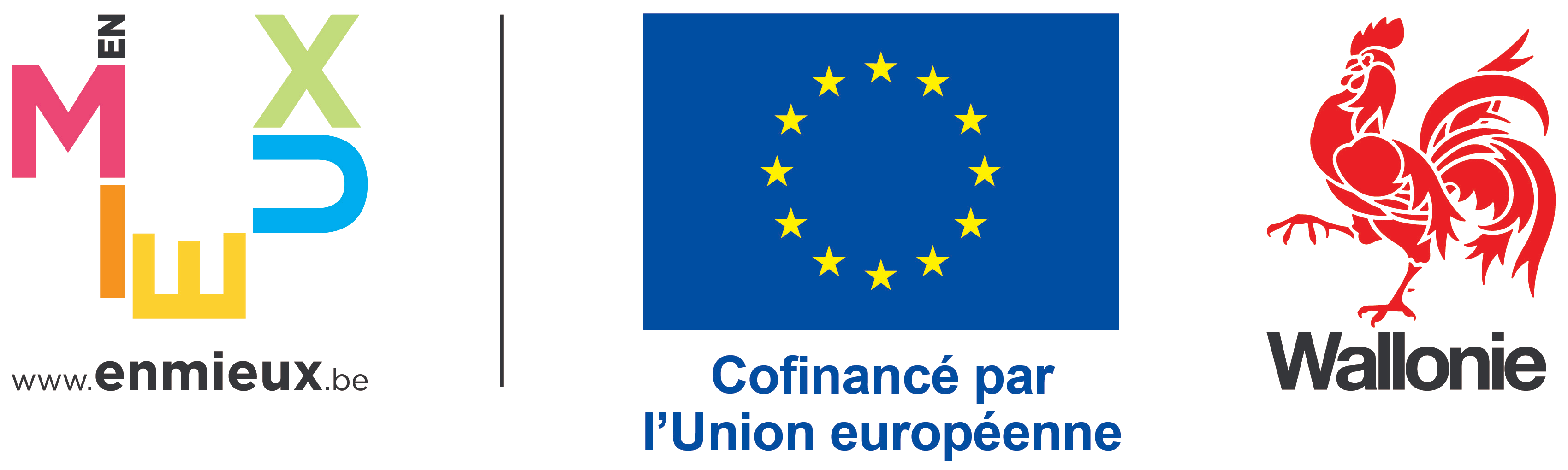 Union européenne — Wallonie